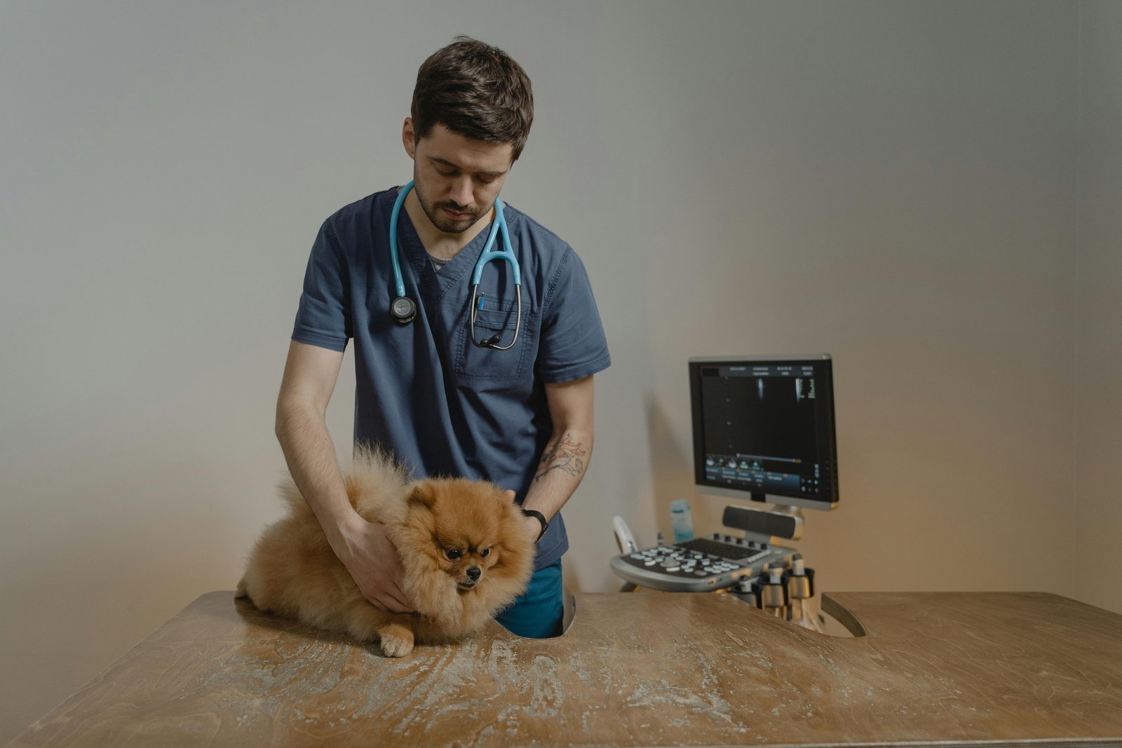 Mascotas y Veterinaria